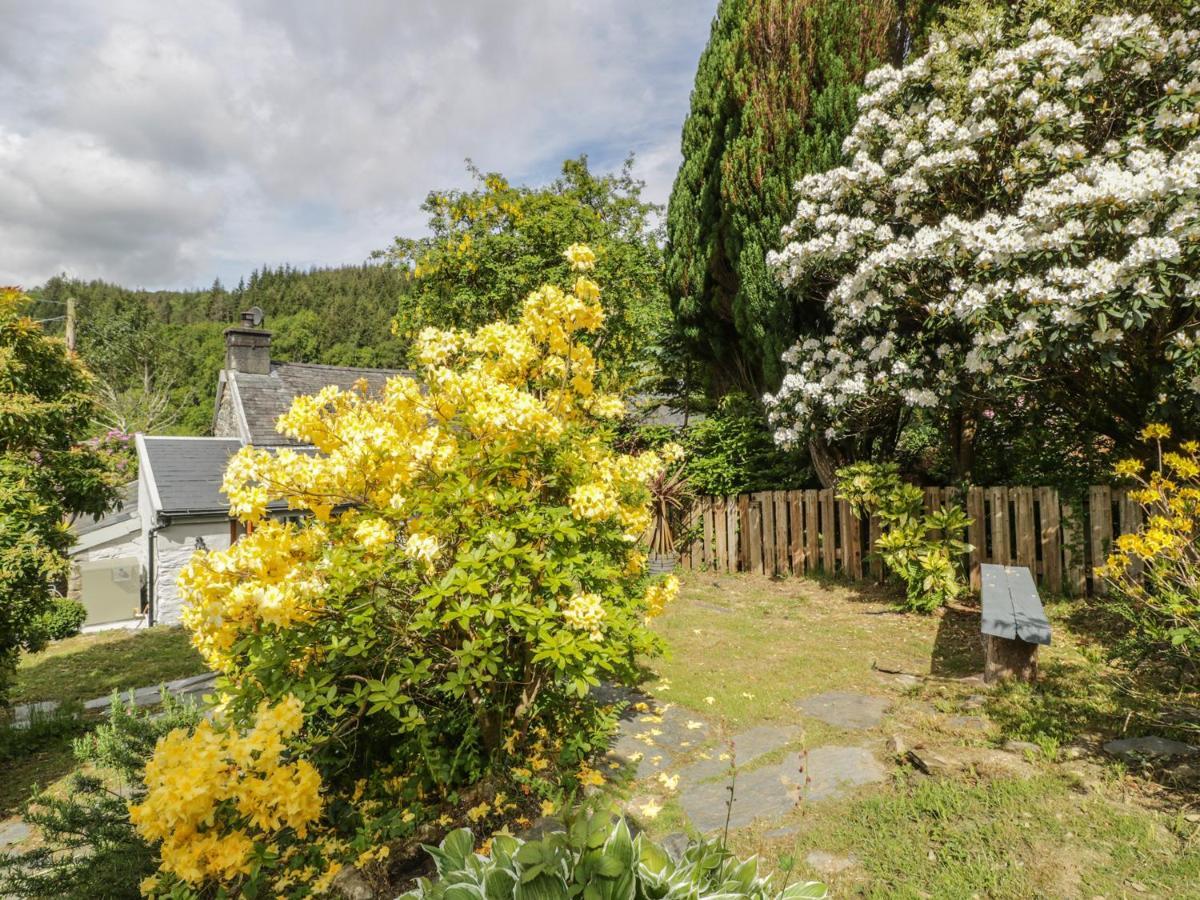 Bron Olau Villa Gellilydan Luaran gambar